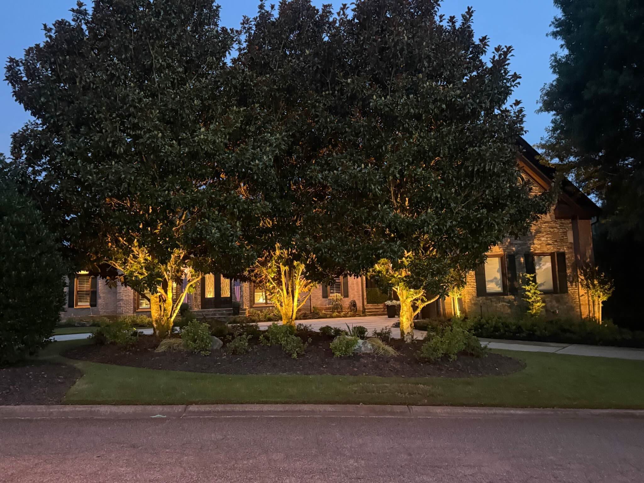 Stone estate home at dusk with three large magnolia trees dramatically uplit in warm light across the front landscape bed
